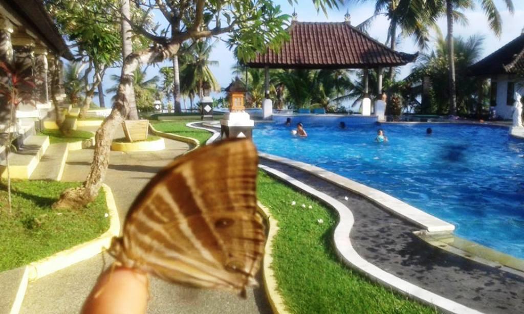 Bali Sunset Hotel Negara  Екстериор снимка